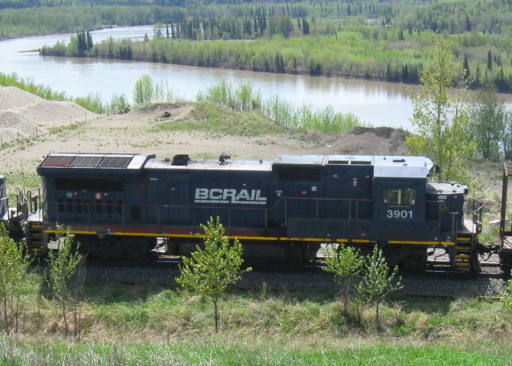 BCOL 3901