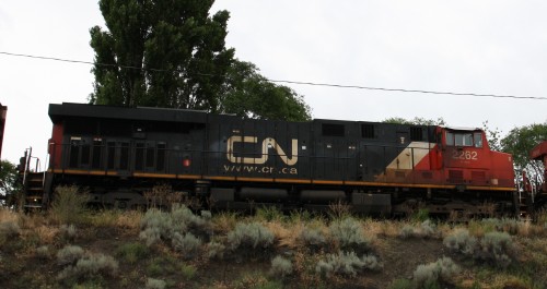 CN 2262