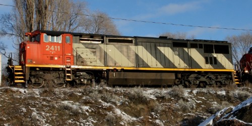 CN 2411