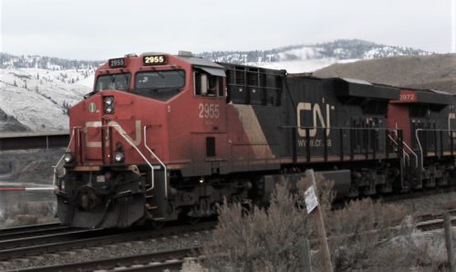 CN 2955