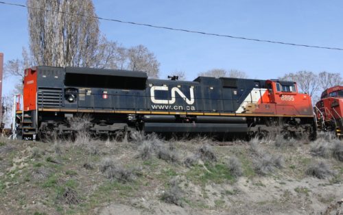 CN 8895